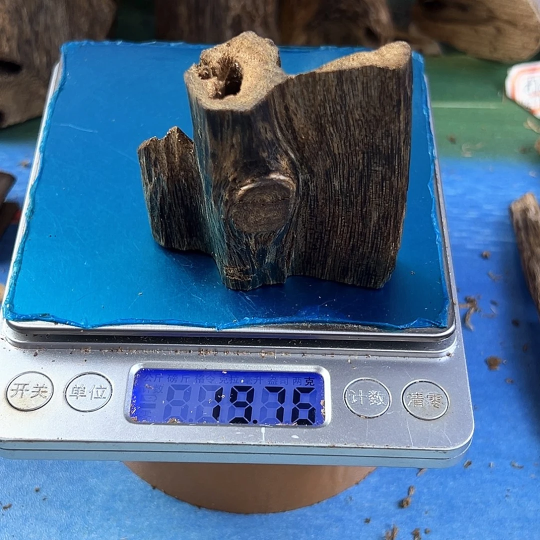 香料绿奇楠虫漏白棋19克