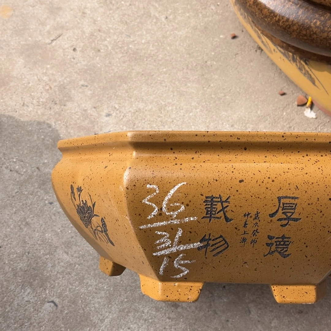 花盆紫砂盆景艺术