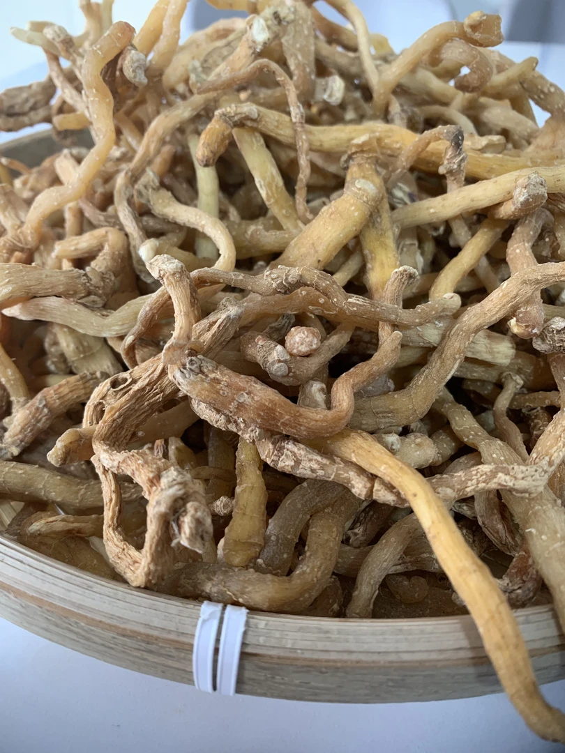 农家自挖自晒玉竹条