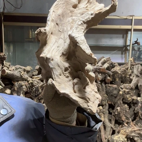 香榧木红*火琉璃的毛料摆件