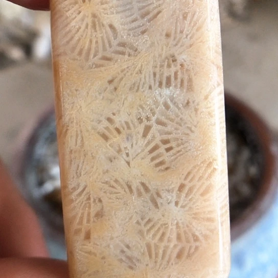 硅化玉吊坠未镶嵌