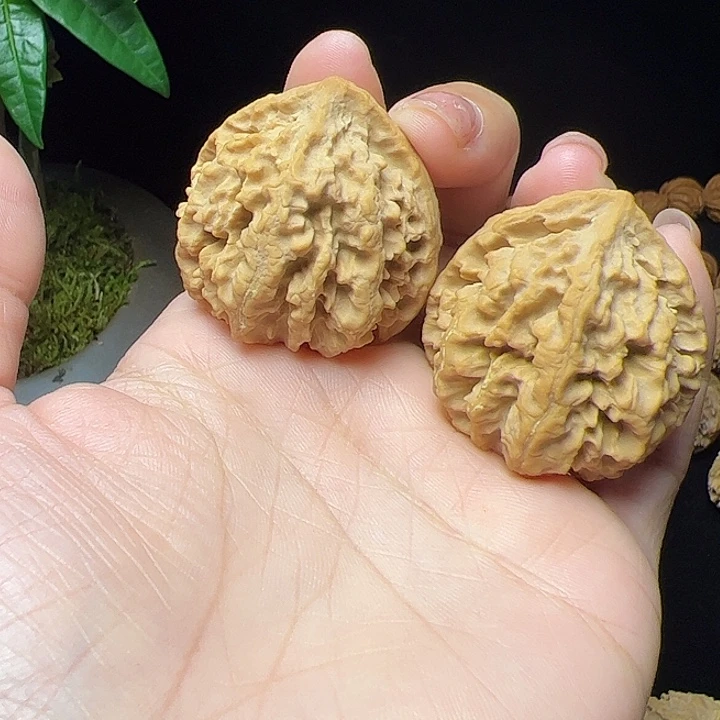 文玩核桃把件秦岭植物核桃