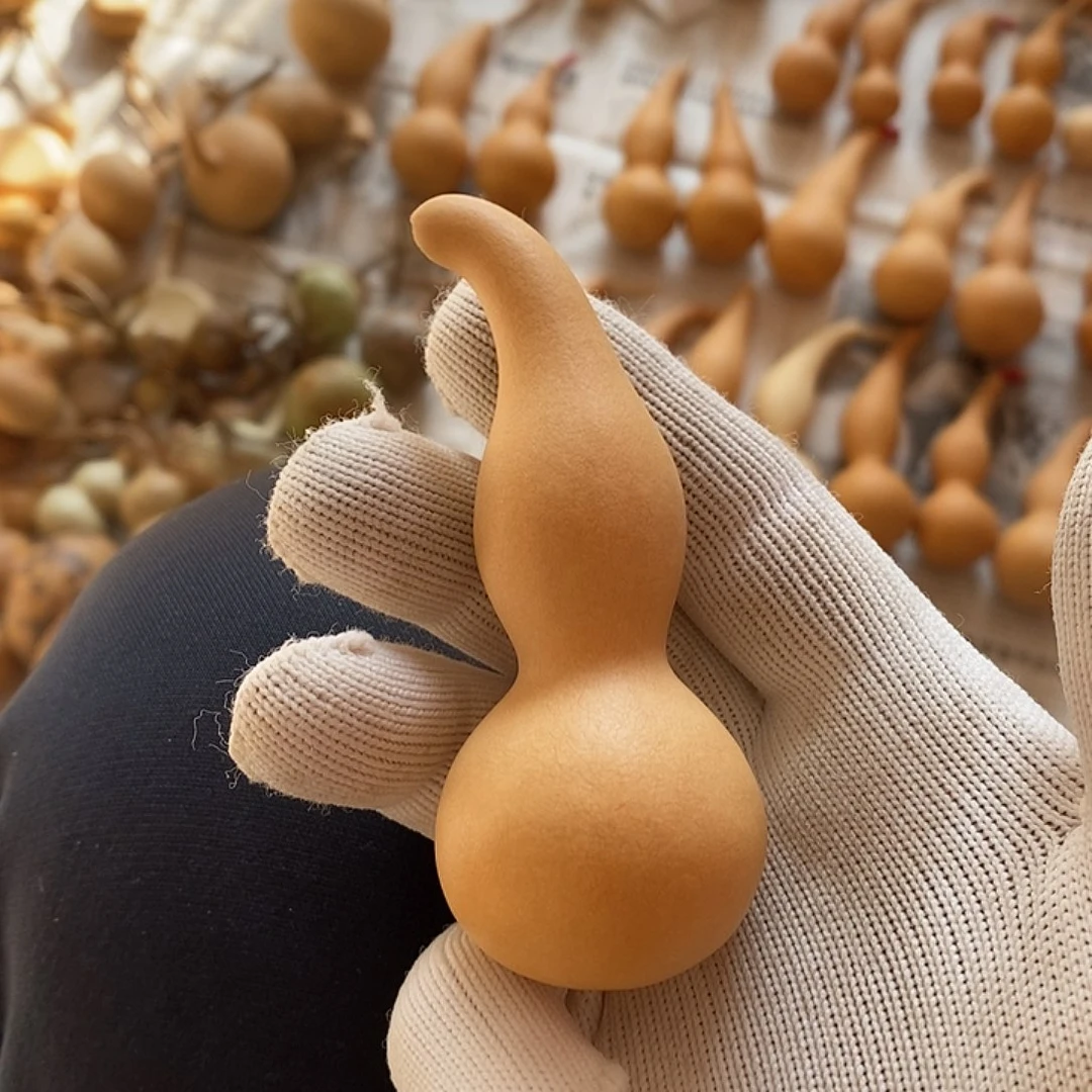 你****天然植物葫芦本捻