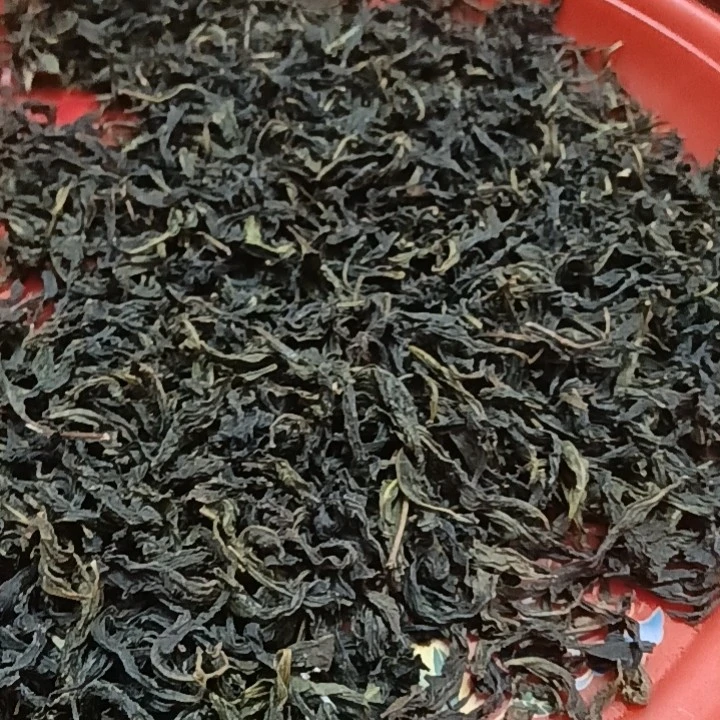 新茶春茶农家土山茶