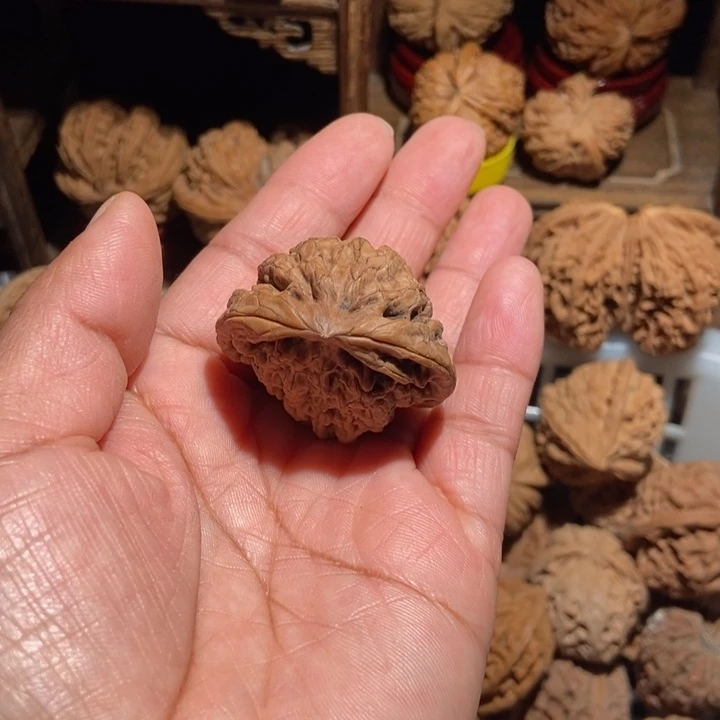 奉***n核桃红锦鲤尺寸40全品