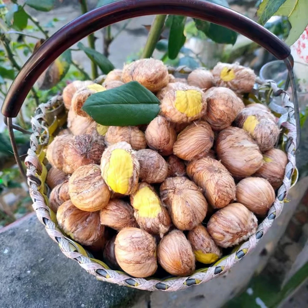 新鲜生板栗仁带内皮手工剥壳易剥粉糯香甜秦岭深山高山老树油栗