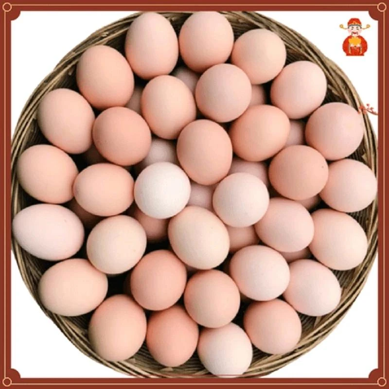 50枚土鸡蛋农家散养正宗新鲜健康山林纯五谷喂养孕妇月子鸡蛋10枚
