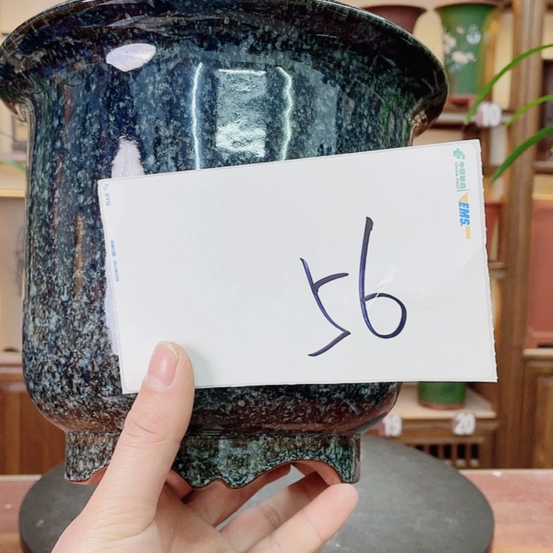 【闪购商品】紫砂花盆小*巴兰花755555526655588555