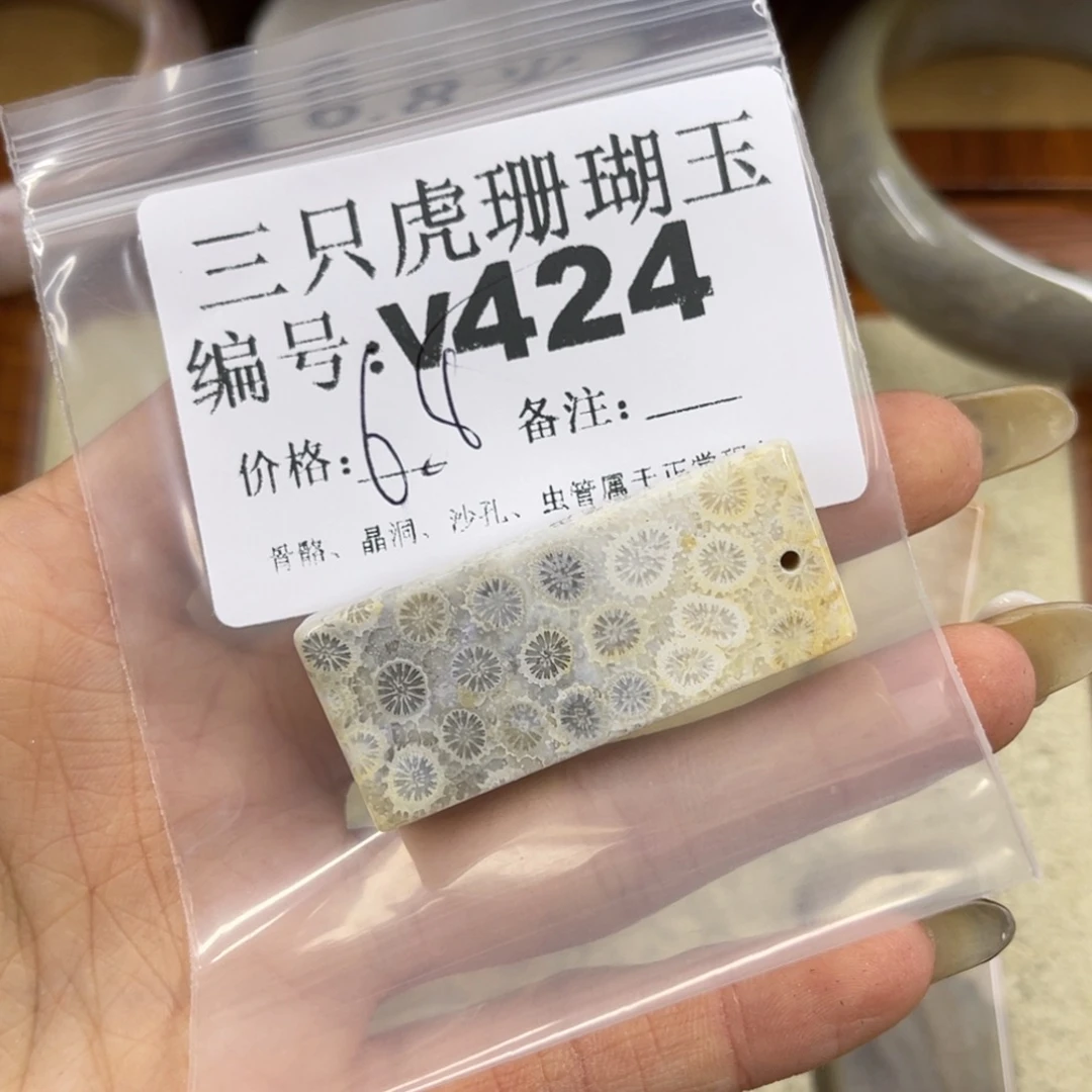 东***车硅化珊瑚（珊瑚玉）未镶嵌h