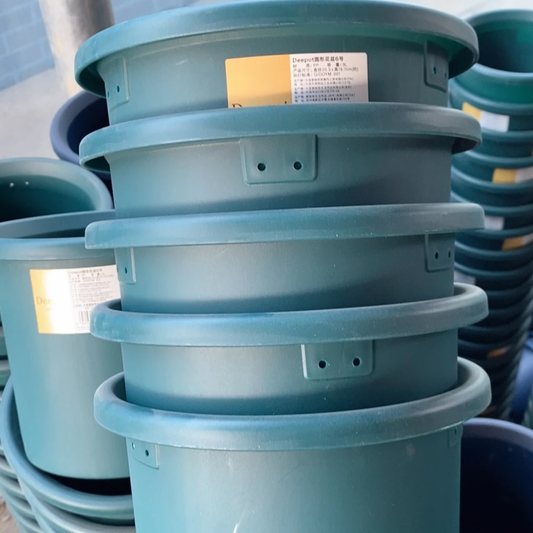 树脂5个6号爱丽丝军绿无托