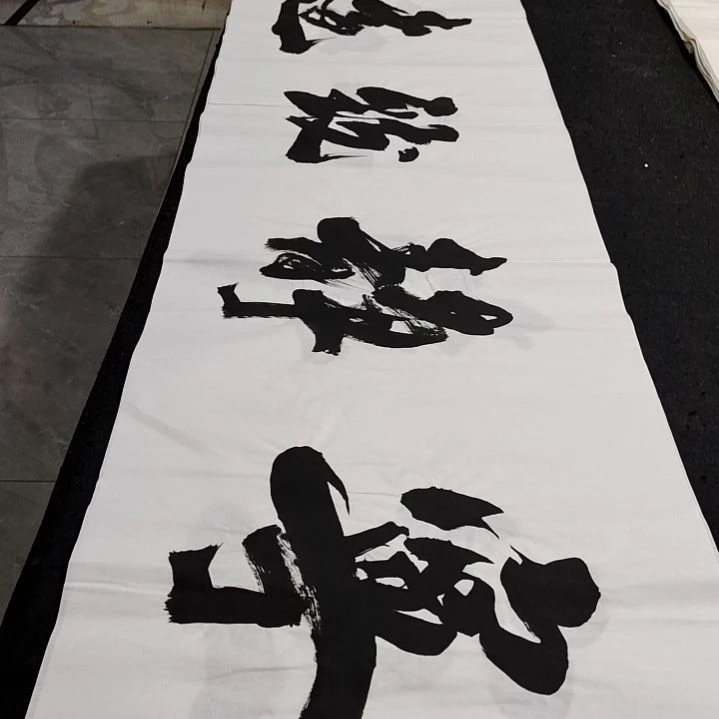 翰墨申国栋老师作品