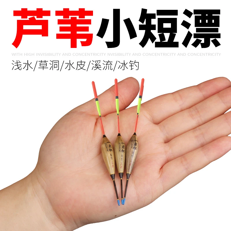 浅水短漂高灵敏芦苇漂鲫鱼漂醒目打浮鱼漂草洞溪流冰钓浮漂短尾