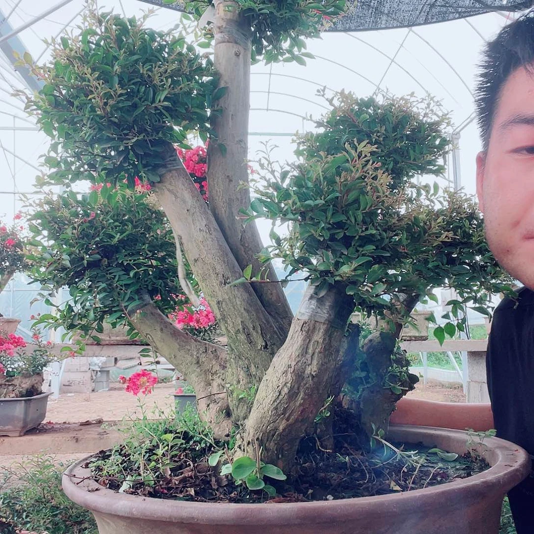 用***0无花朵紫薇老庄一组自拍