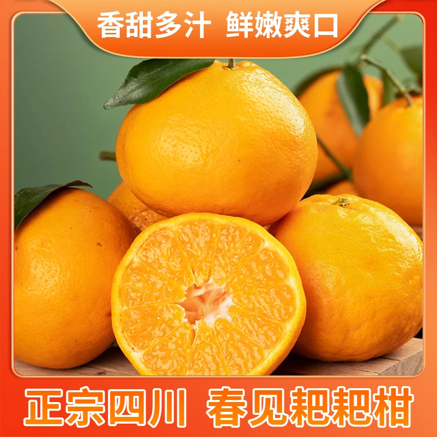 【明天加急发出】正宗四川耙耙柑产地直发新鲜自然成熟清甜多汁应季