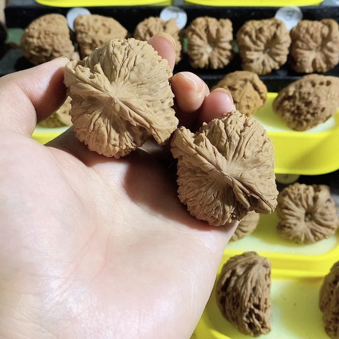 木质类今天是不是又要