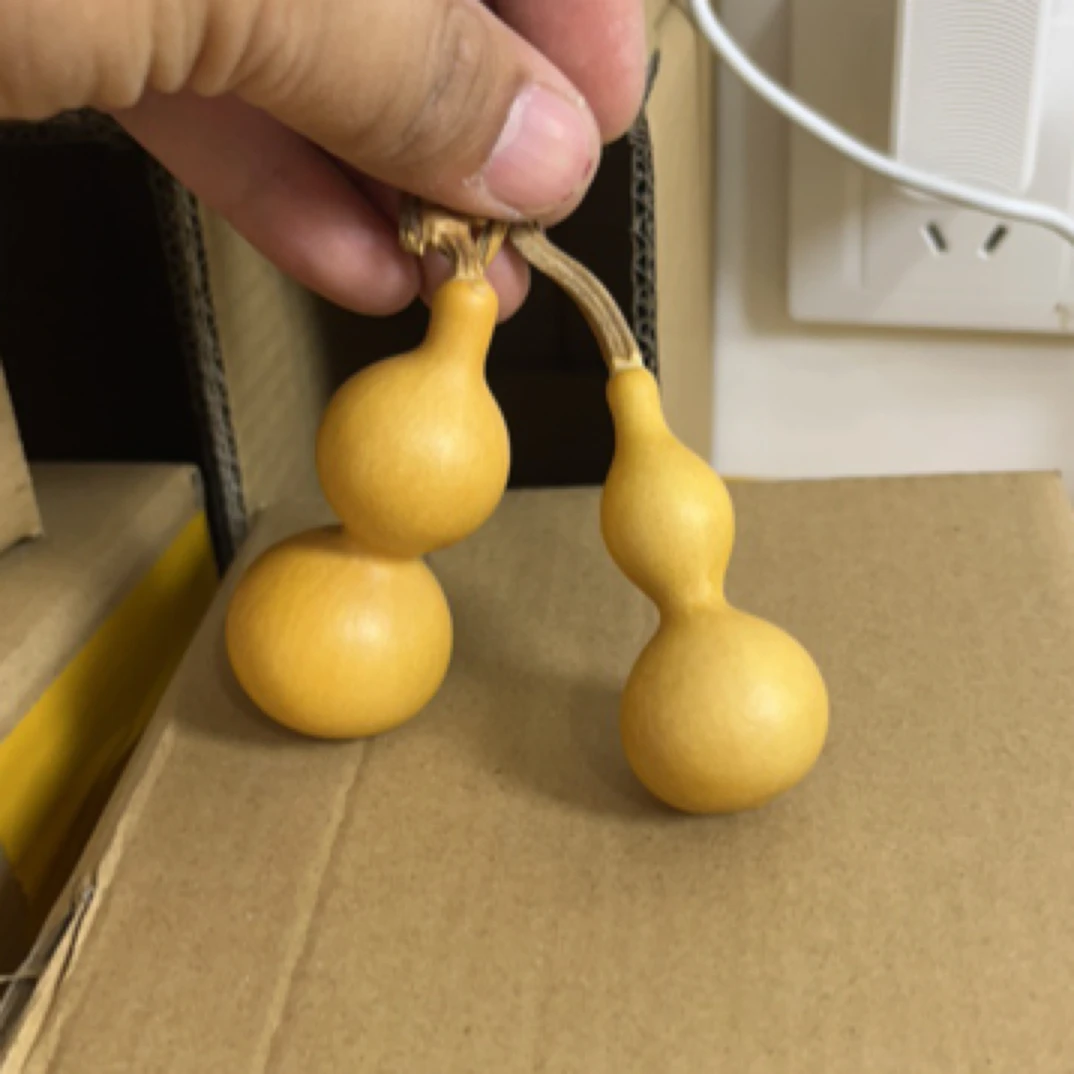 直播专用一物一拍天然生长葫芦