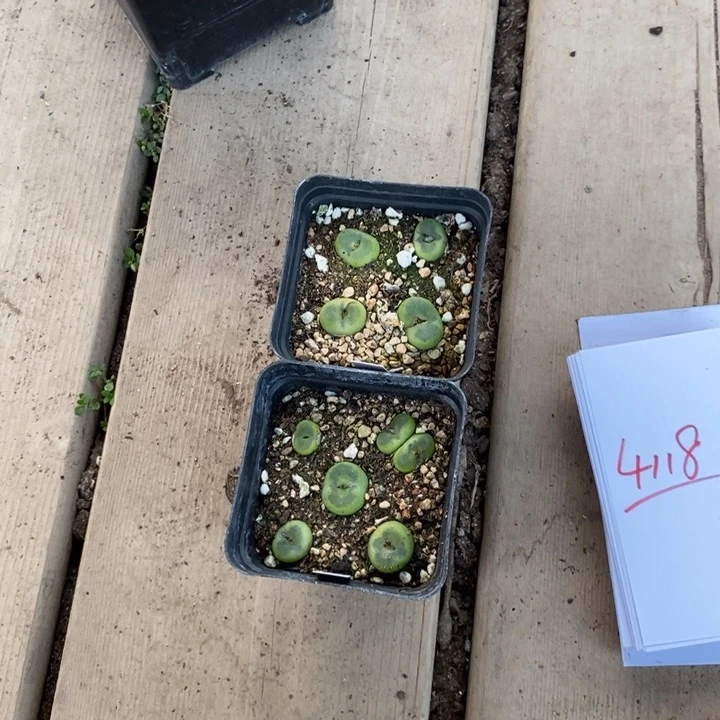 电***站4118一组一组一组