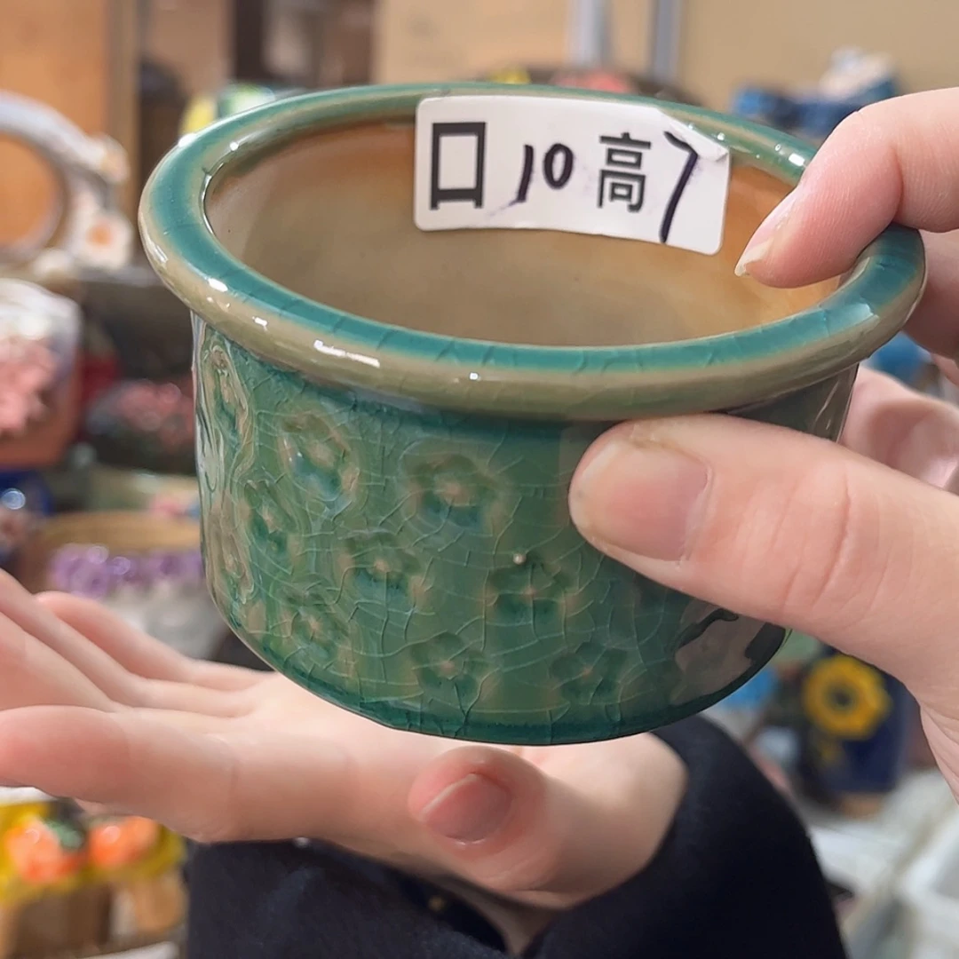 【闪购商品】红陶福利