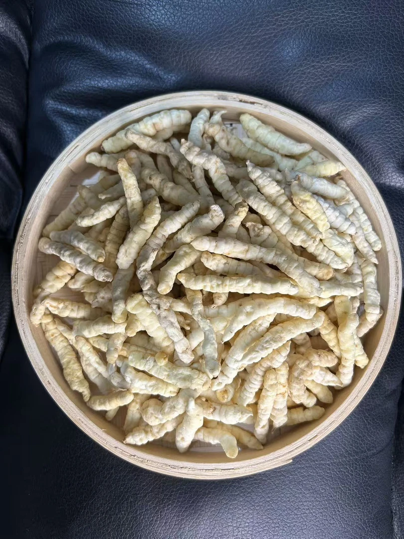 （白虫草）云南高海拔，深山自然生长无硫干货
