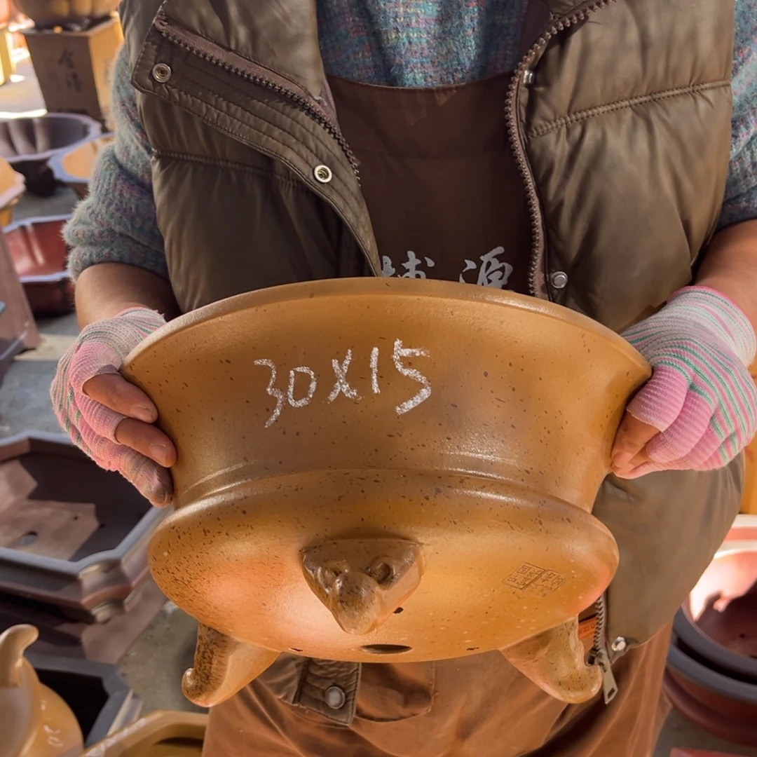 紫砂花盆盆景艺术