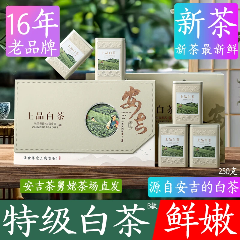 2025年正宗安吉白茶250克大气礼盒装春季清新新茶叶明前特级珍稀