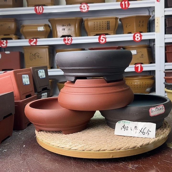紫砂花盆蛇年大吉