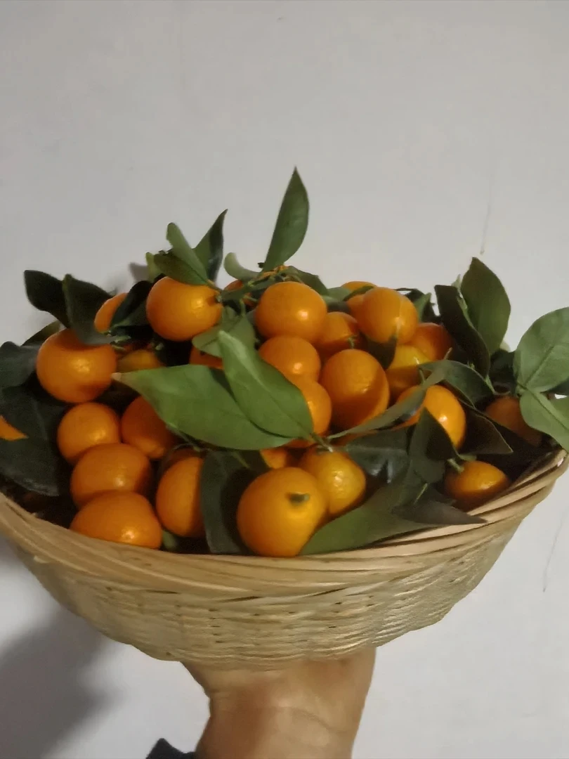 云南山货 金桔 卤蛋甄选