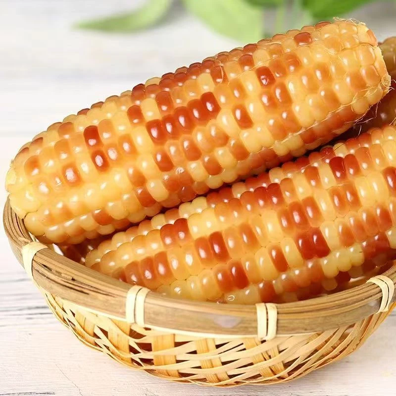 支持试吃东北花玉米粘糯玉米棒子整箱10支5斤装