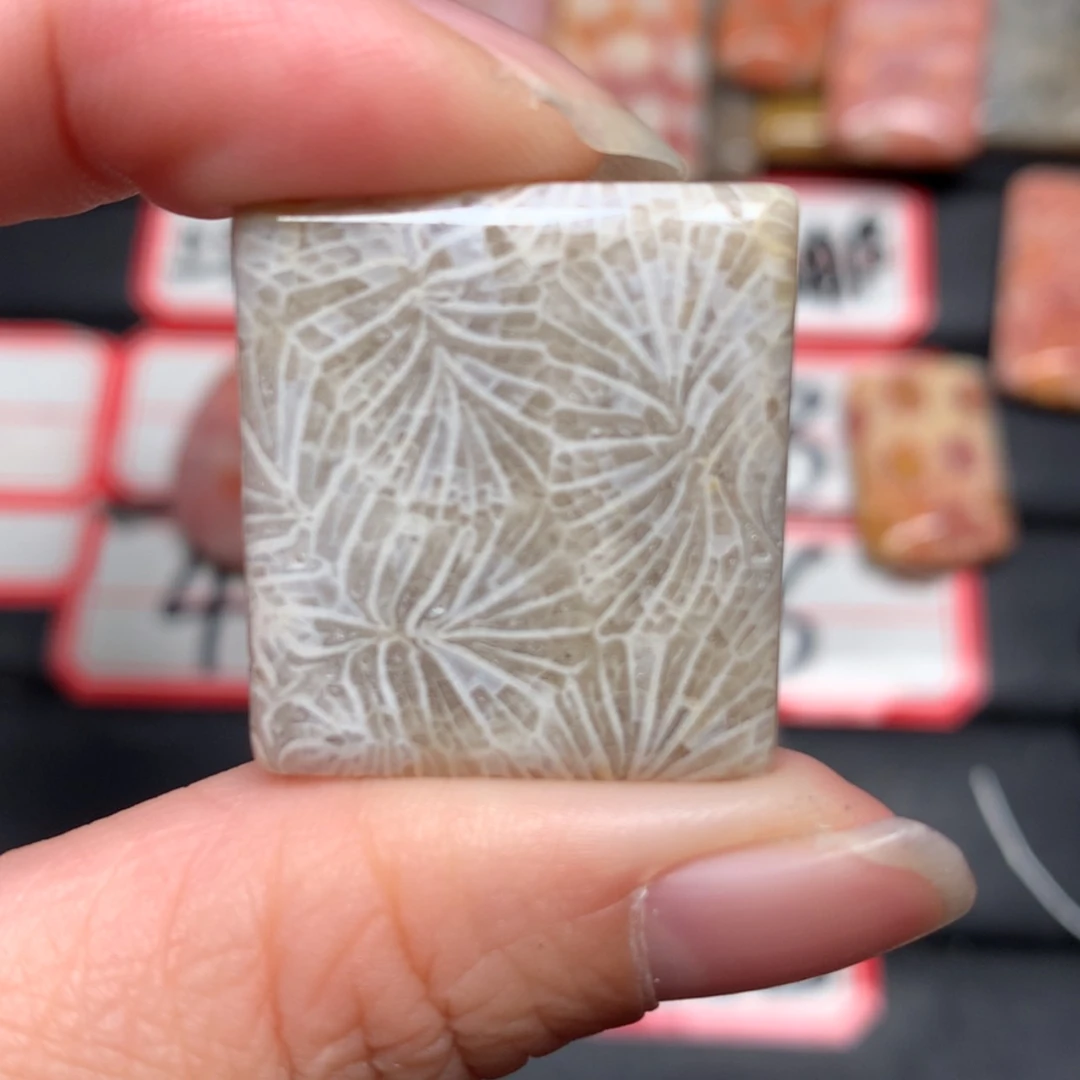 【闪购商品】未镶嵌颈饰硅化玉T***y