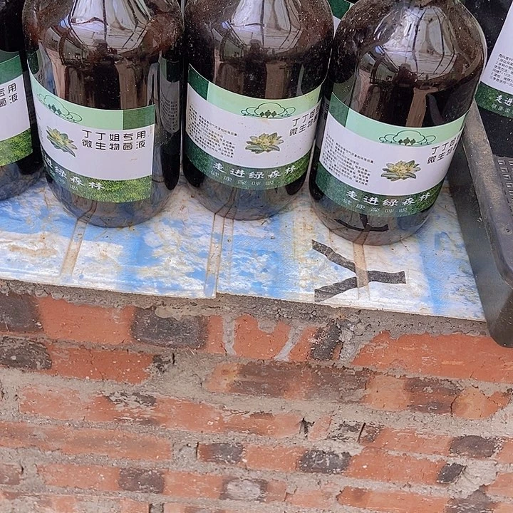 微生物菌液500 m l一瓶