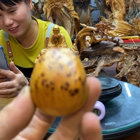 柏木?**咪太行崖柏根雕