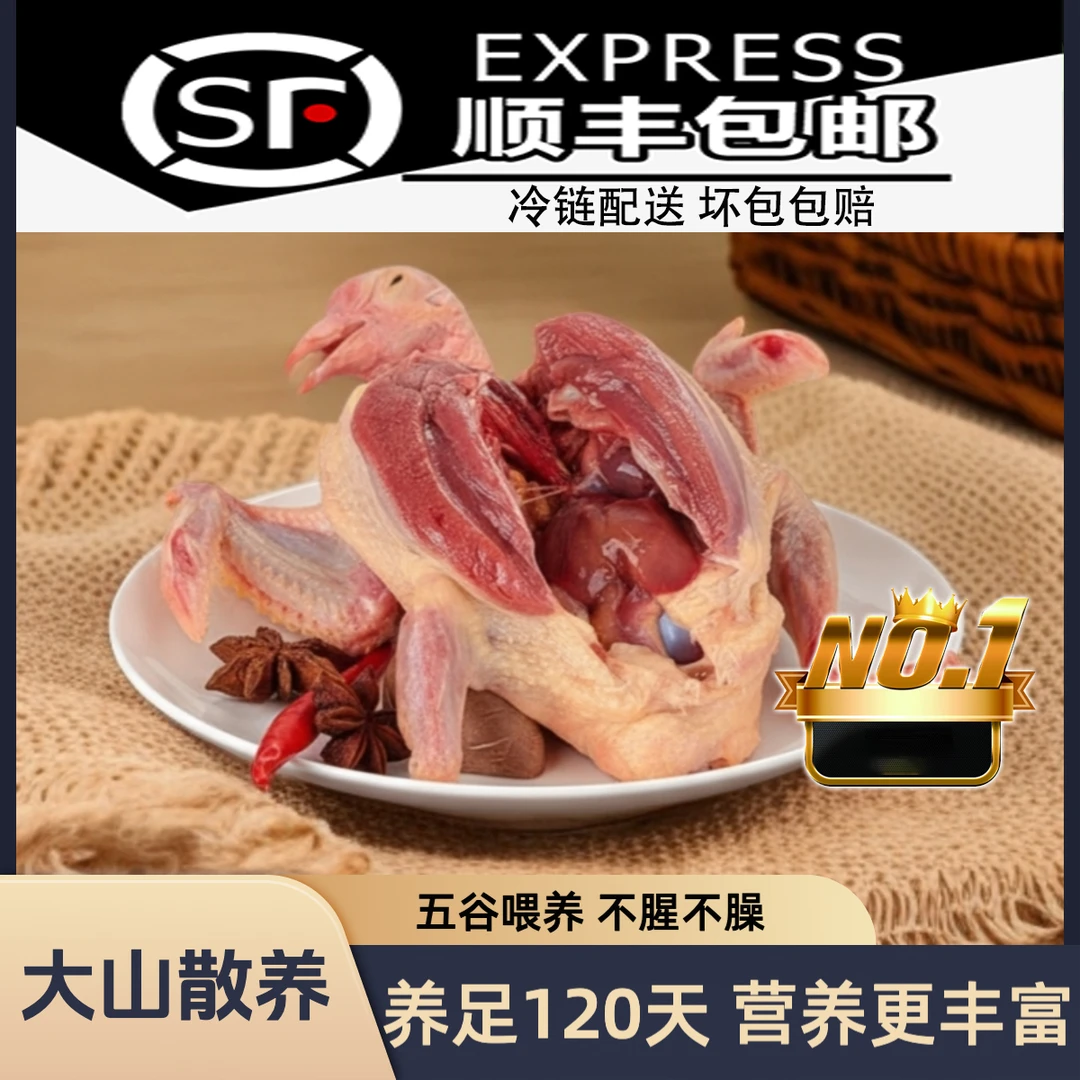 【拍三发四】 精选散放散养120天 土鸽子 3只装 生鲜土鸽子