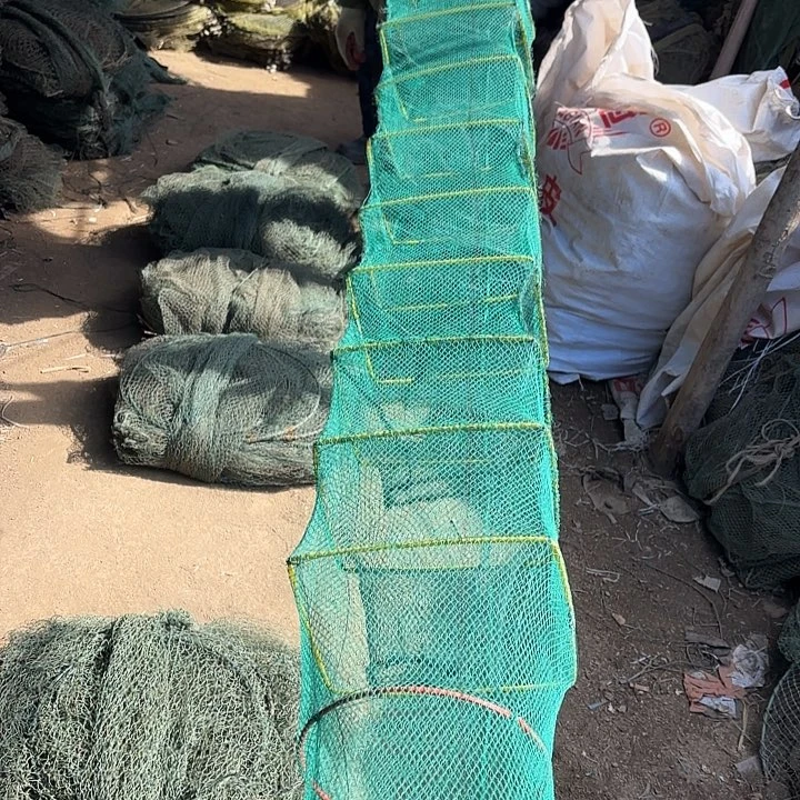 徐***哥虾虾155885855888888