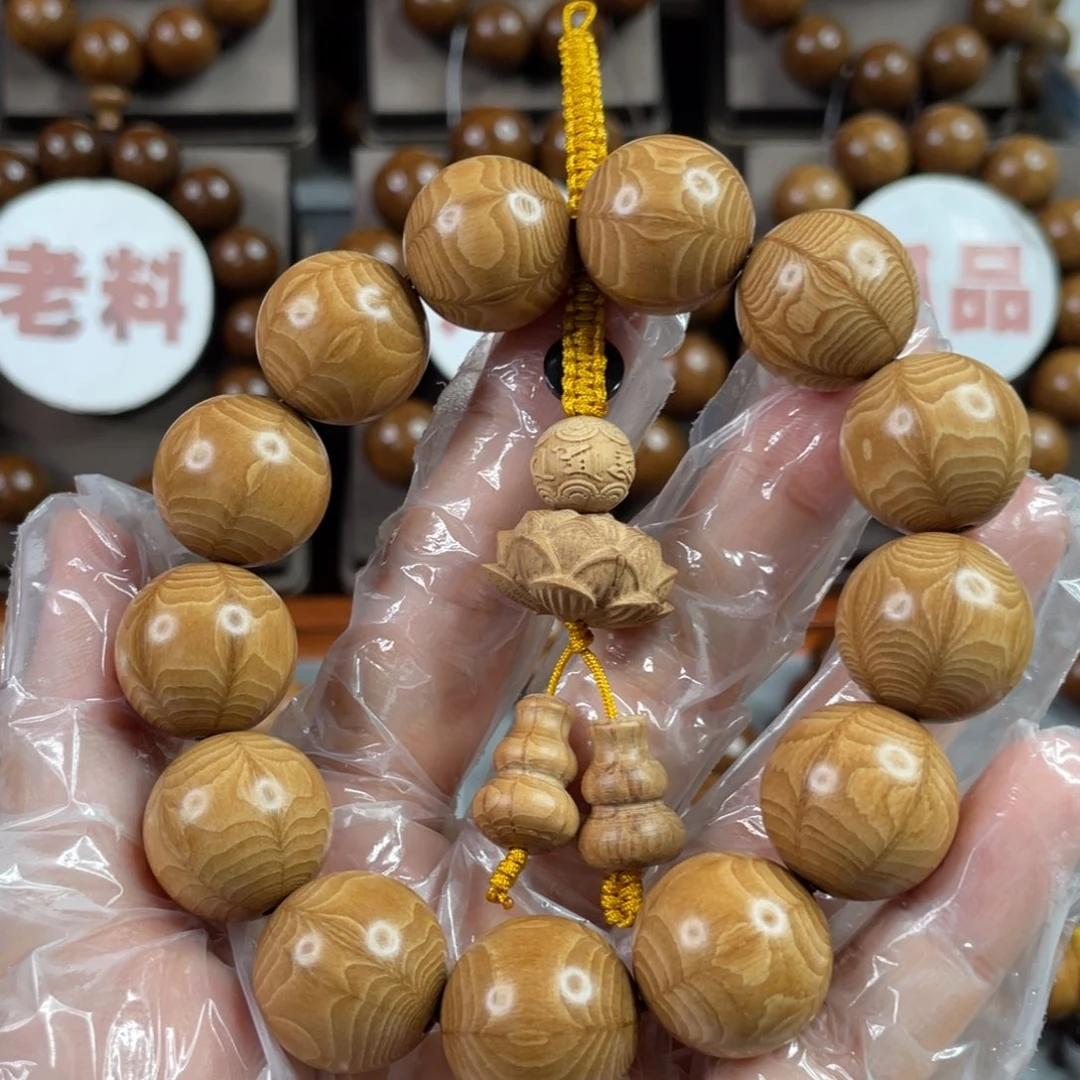 六道木黄金底， 精品1.8