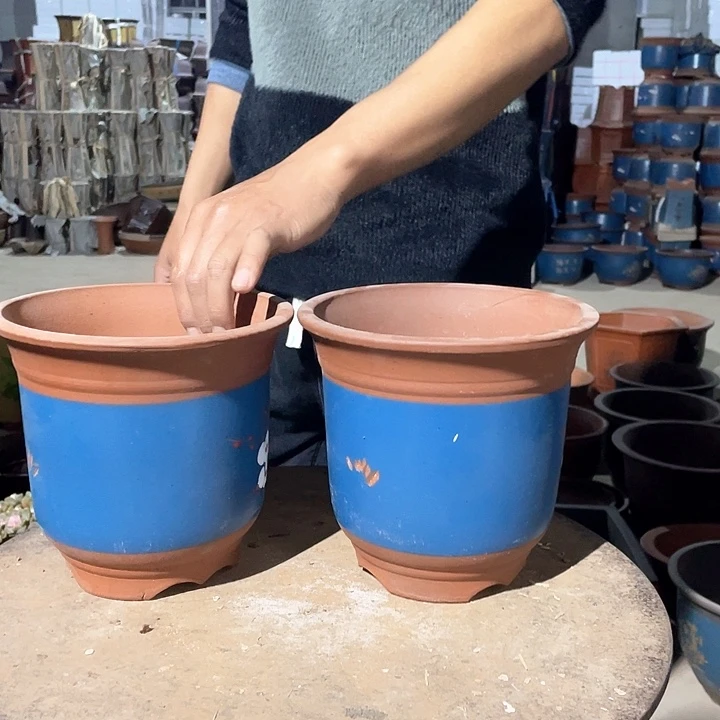 紫砂蓝色点菜金钟19+99