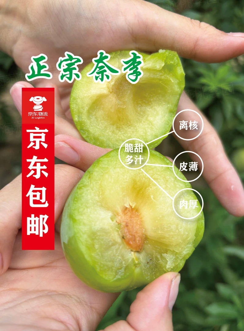 【正宗奈李】果肉脆甜爽口京东包邮