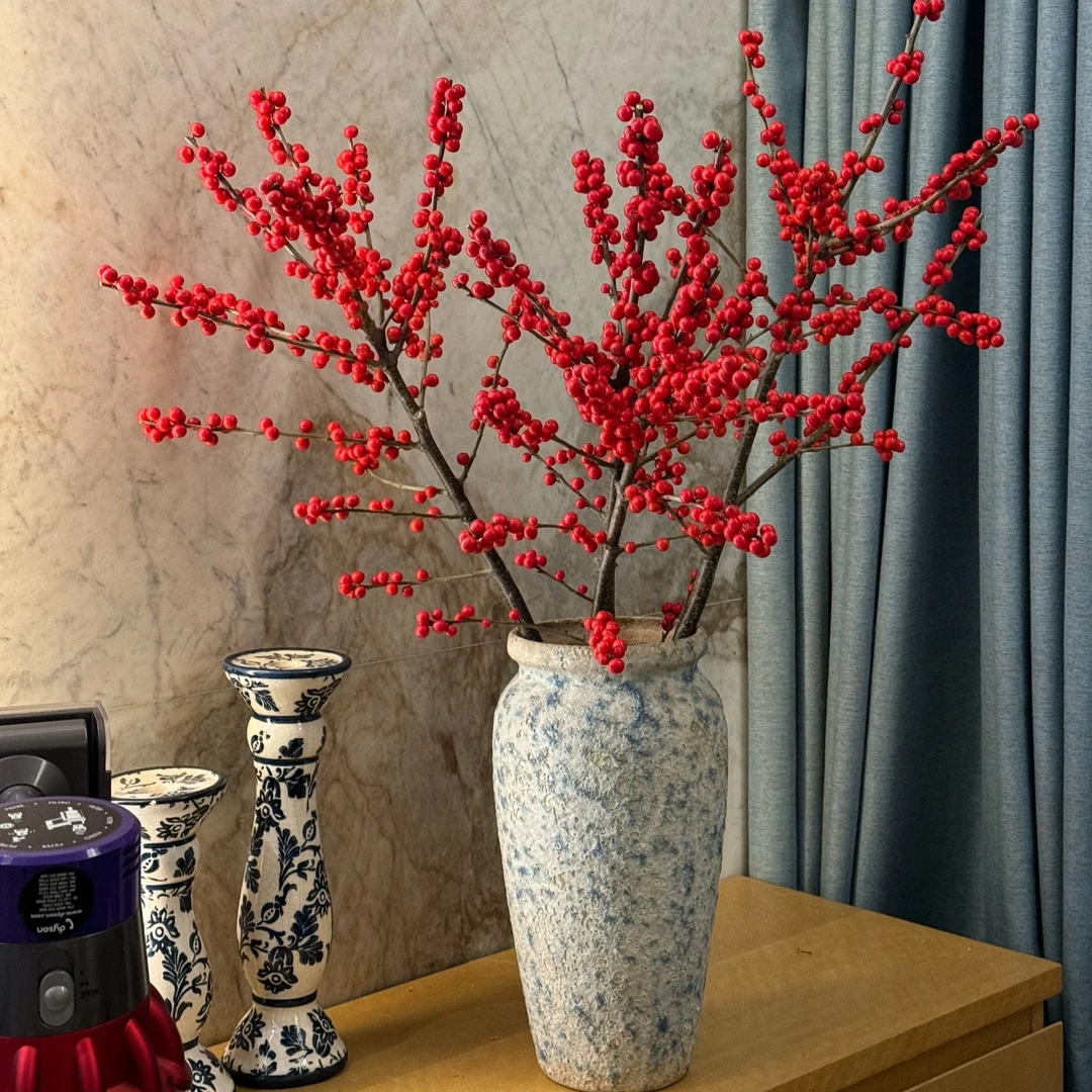 A级北美冬青鲜切枝60-70cm（顺丰包邮）新鲜带叶种植基地直发