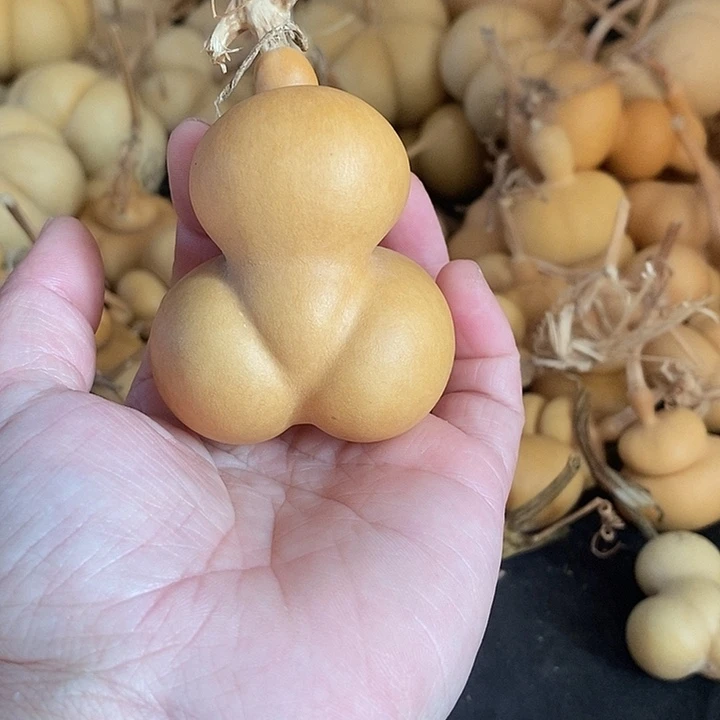星*葫芦的颜色很好看
