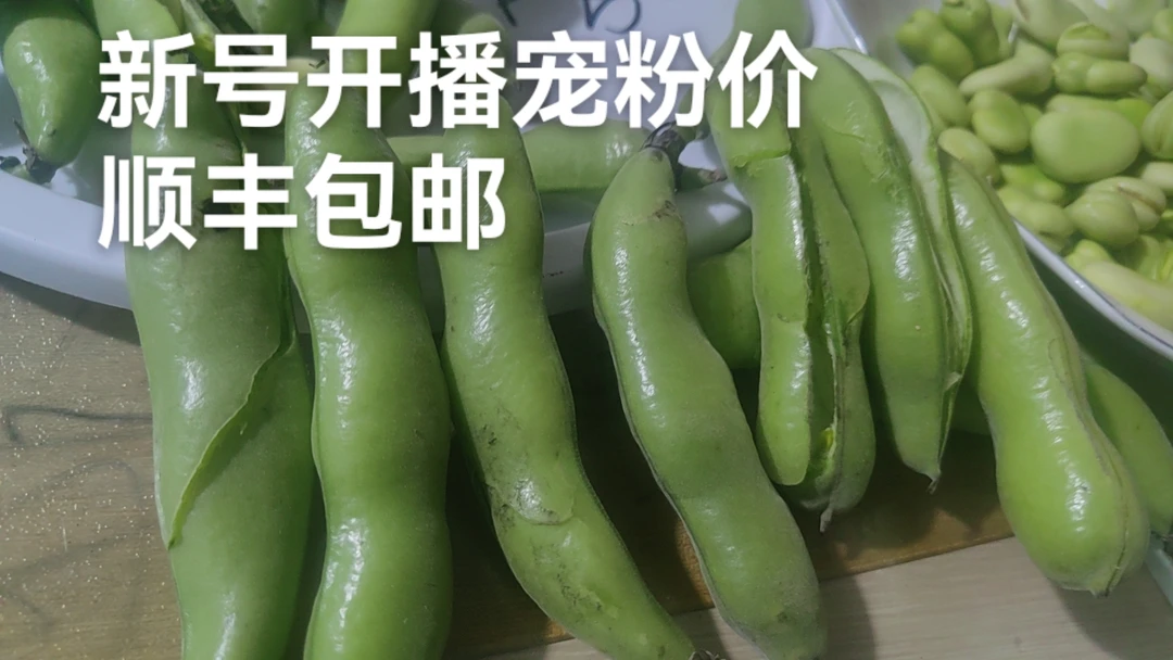 苏北新鲜现摘带壳绿皮蚕豆农家自种美味蔬菜