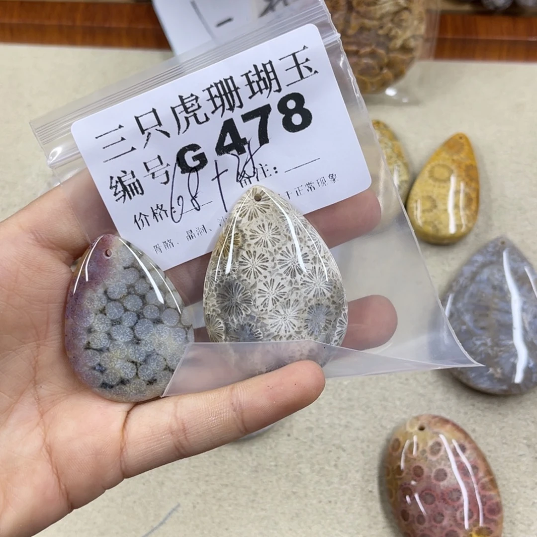 义***兰硅化珊瑚（珊瑚玉）未镶嵌h