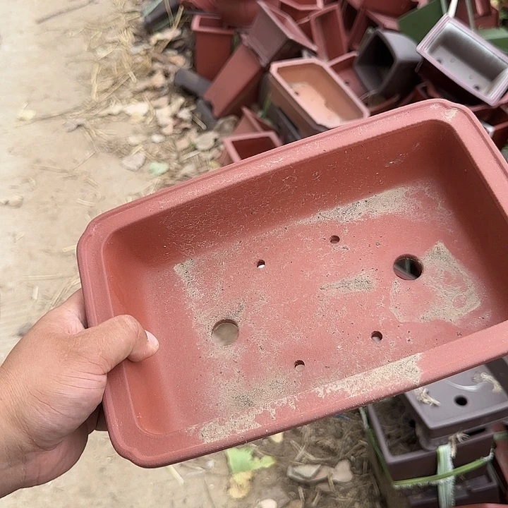 你不说不让她干啥