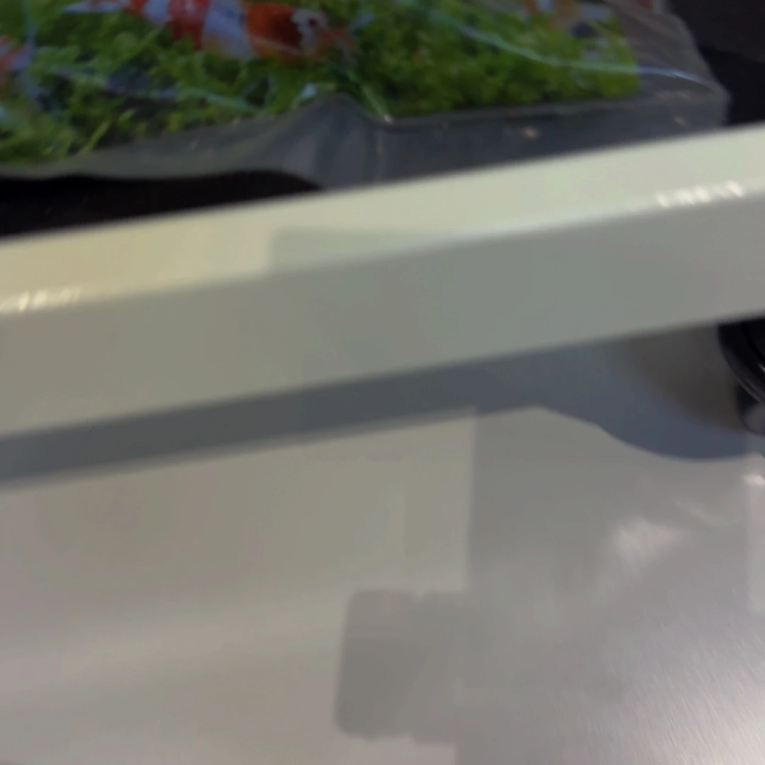 丹尼尔婆罗洲红棕沙