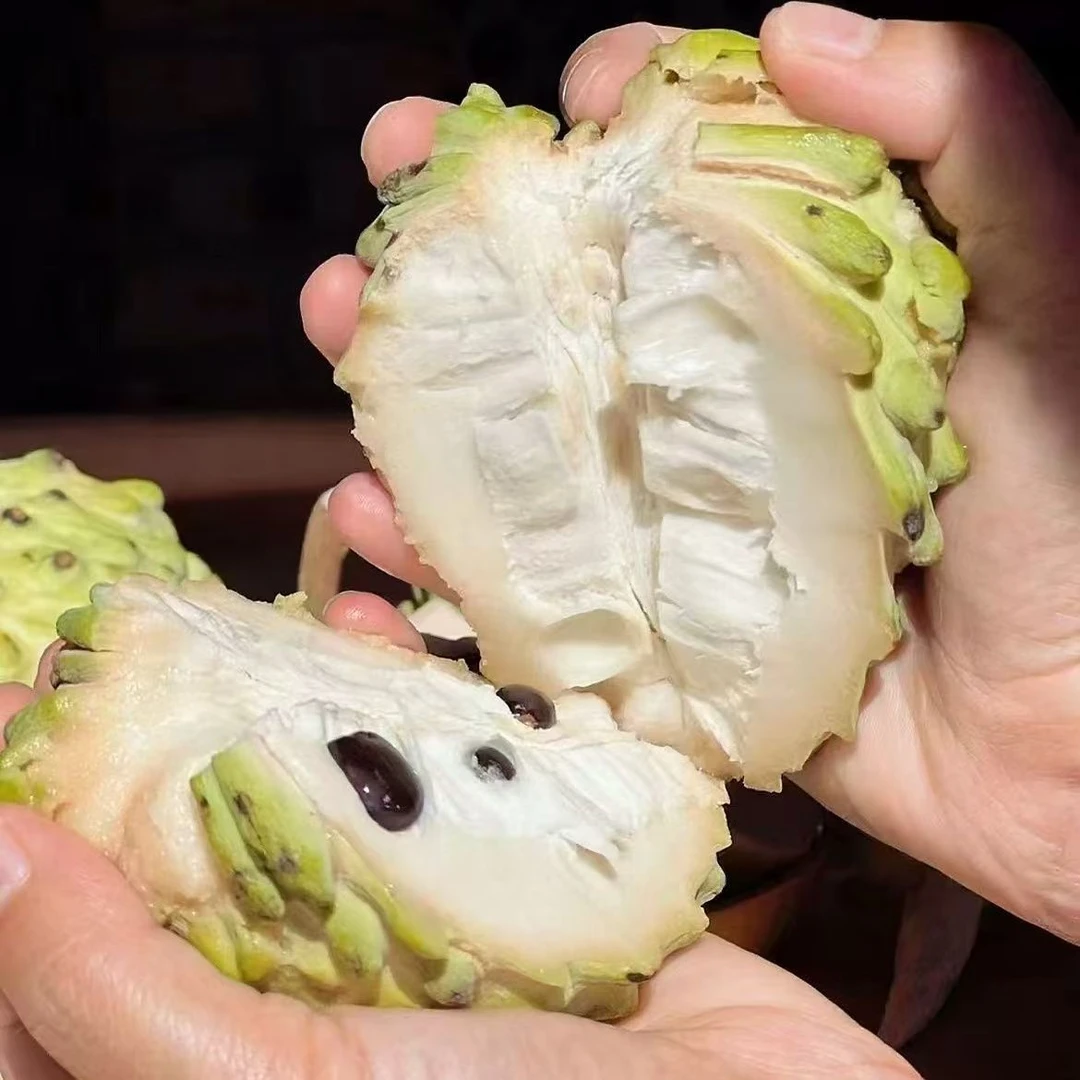 【顺丰包邮】云南凤梨释迦果新鲜热带水果现摘现发香甜佛头果