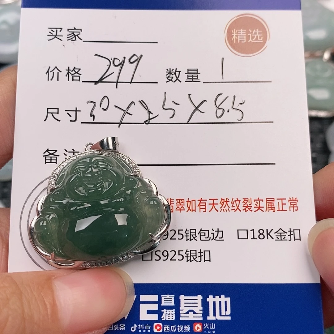 翡翠银S925镶嵌颈饰