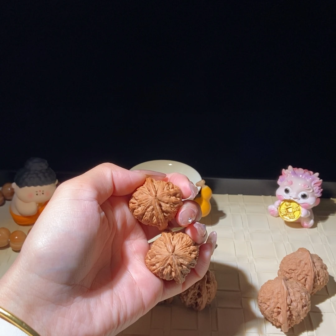 菩提籽类白狮子33