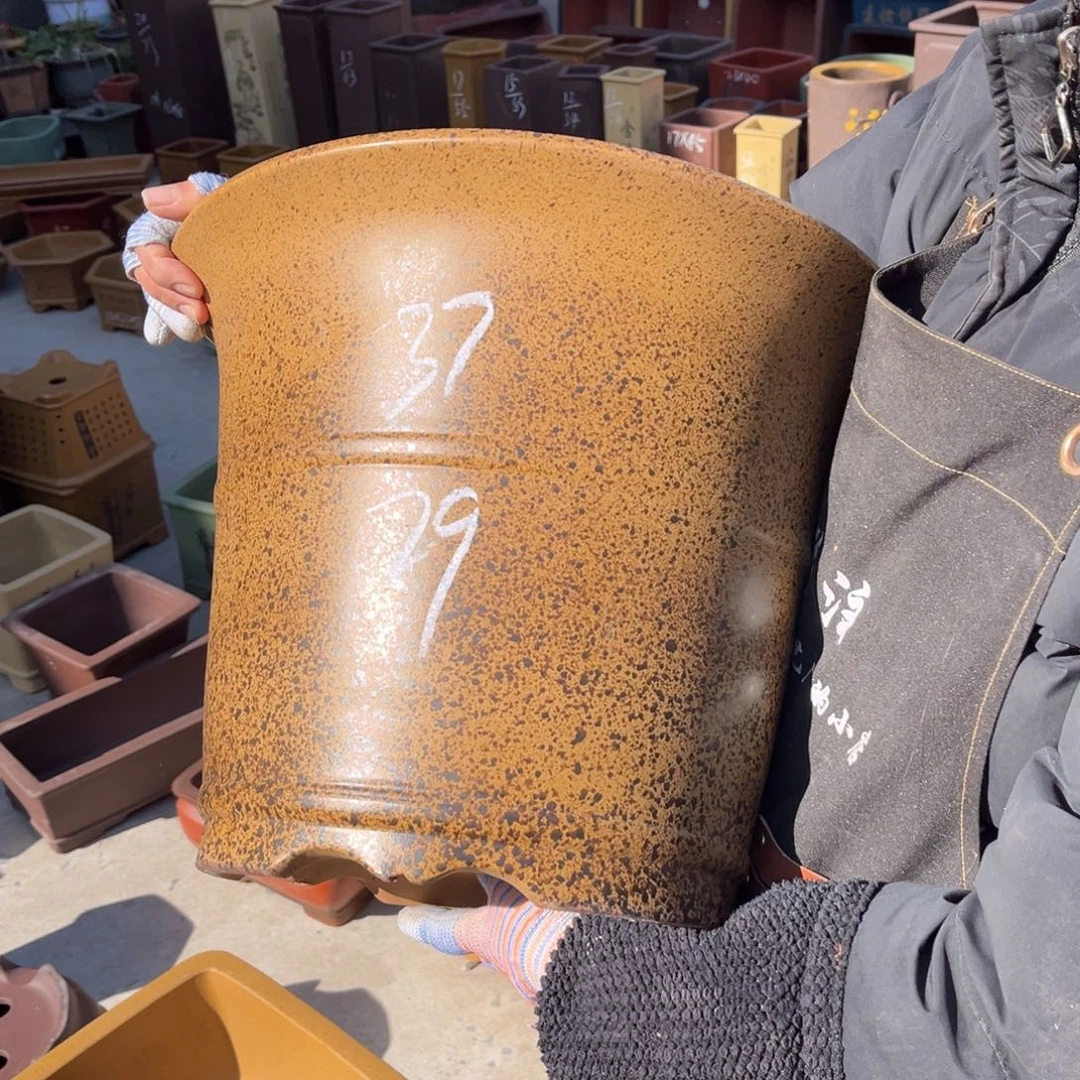 紫砂花盆盆景艺术