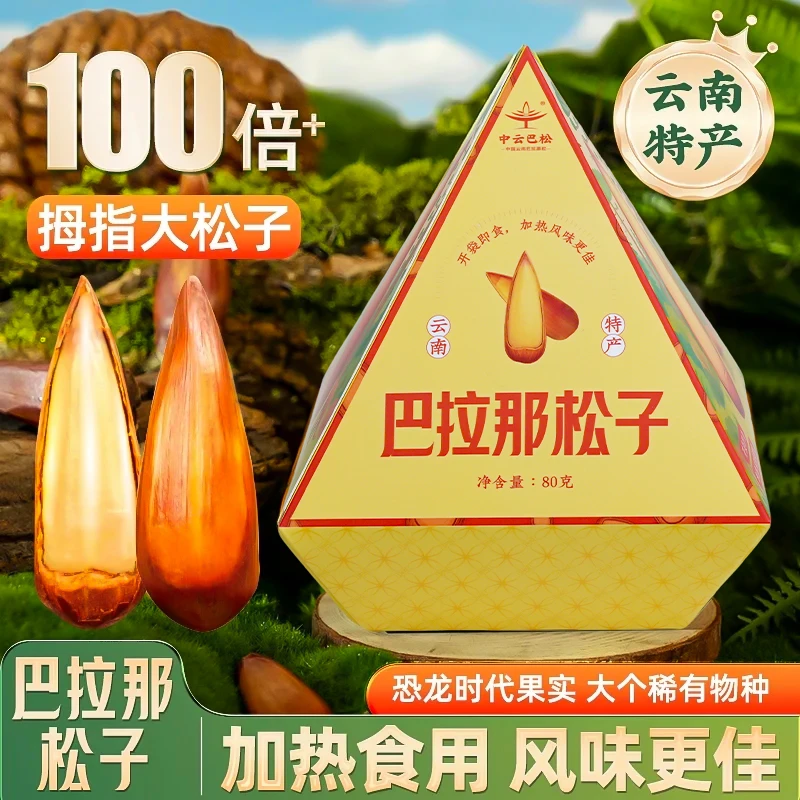 滇品客【中云巴松】原味熟食拇指大松子巴拉那松子开口巴西王送礼盒