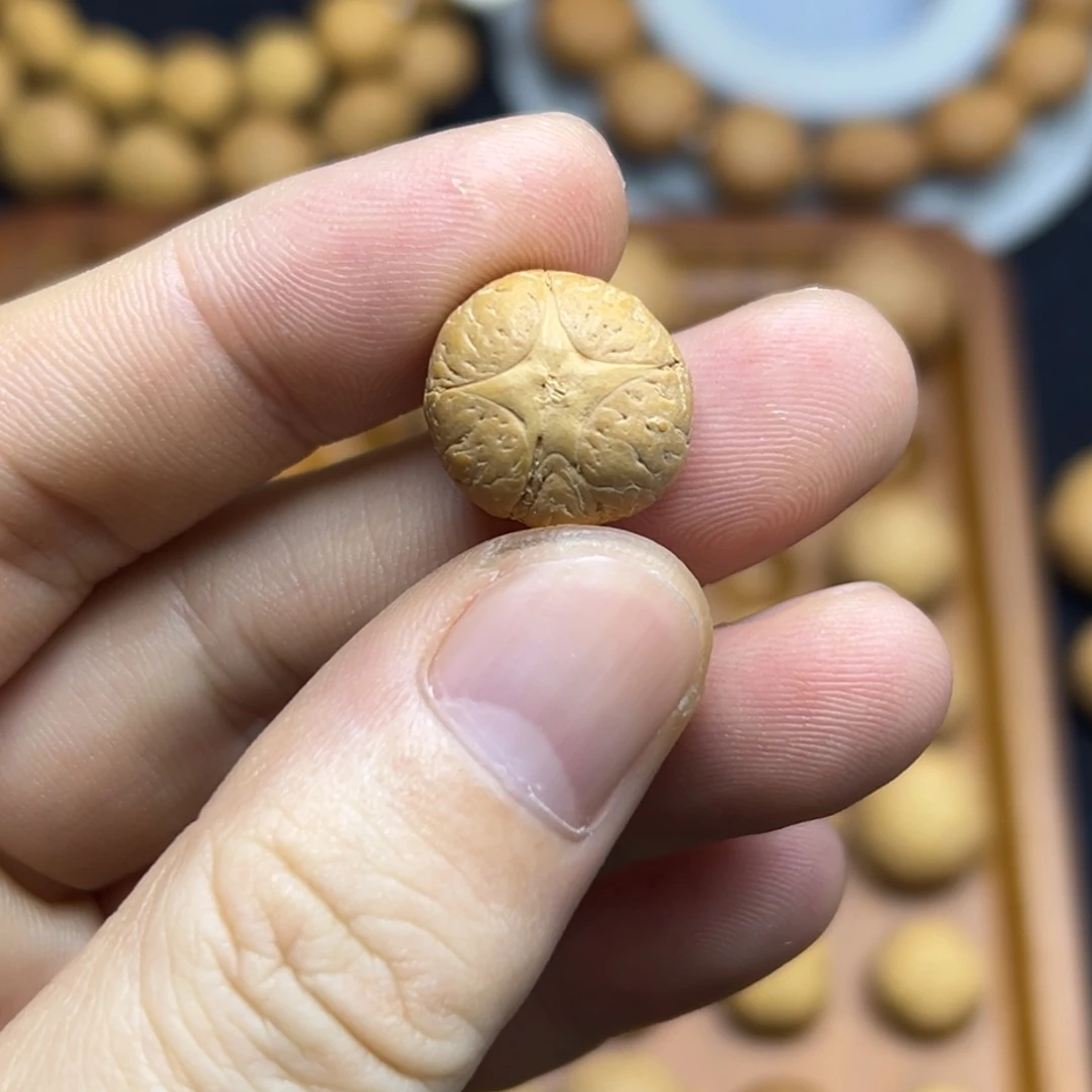 凤眼菩提手串16五星上将