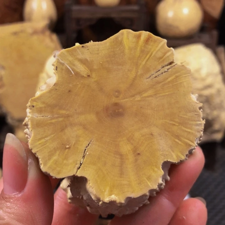 木用****1木料木料木和木料