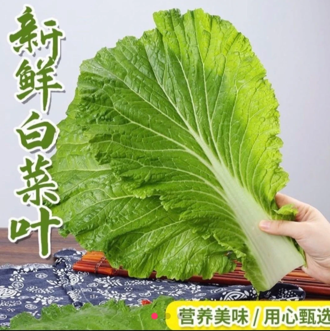 东北农家饭包白菜叶